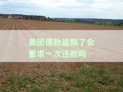美团借钱如果逾期严重必须全部结清吗，怎么办？