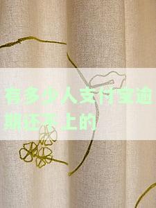 有多少人支付宝逾期还不上的呢，知乎。