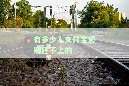 2020年支付宝逾期的人特别多，2021年支付宝逾期的人有多少？今年支付宝逾期的多不多？