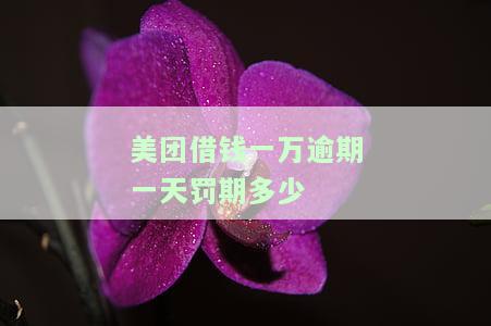 美团借钱一万逾期一天罚期多少利息，逾期三个月未还将如何处理？