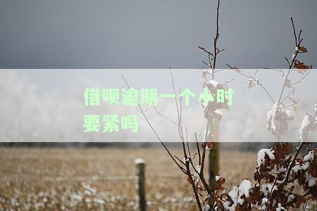 借呗逾期一个小时要紧吗知乎怎么回事，借呗逾期一个小时有啥影响吗，借呗逾期一个小时会有什么后果?