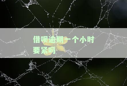借呗逾期一个小时会不会有影响征信记录
