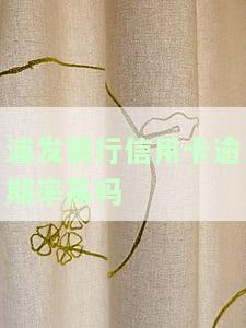 浦发银行信用卡逾期率高吗