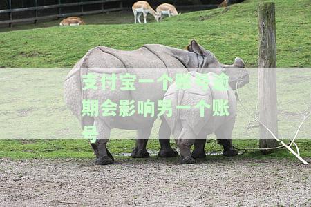 支付宝一个账号逾期会影响另一个账号
