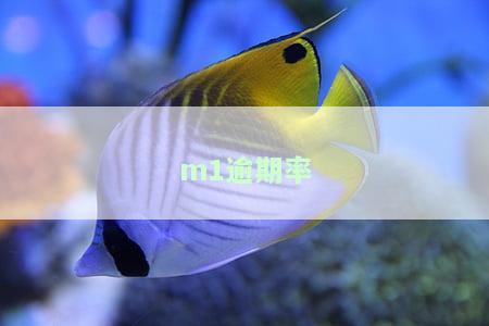 m1逾期率计算公式及其区别