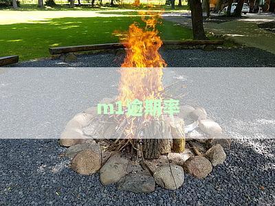 m1m2逾期是什么意思，m1是指逾期多久，逾期m1是啥意思