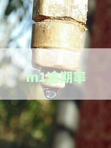 m1逾期率