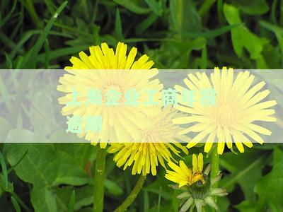 上海企业工商年报逾期