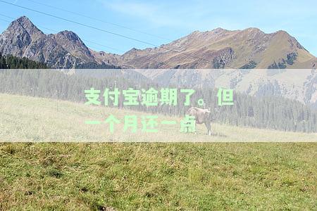 支付宝逾期一个月还一点点会不会被催收的更猛，逾期一个月会被要求还全款吗，逾期一个多月要我今天必须还怎么办，逾期一个月会上征信吗，逾期了一个月没还怎么办？