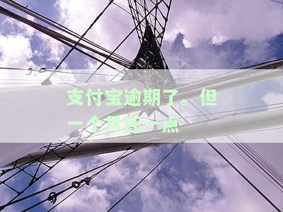 支付宝逾期一个月没事吧，怎么办，后果
