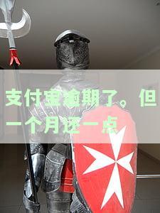 支付宝逾期了。但一个月还一点