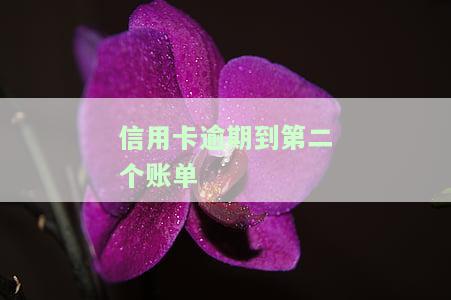 信用卡逾期到第二个账单应该怎么还款