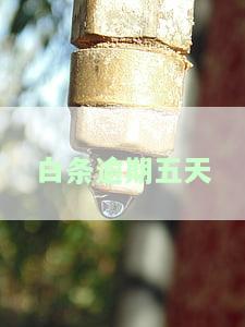 白条逾期五天，收到短信说失信黑名单，限制一切