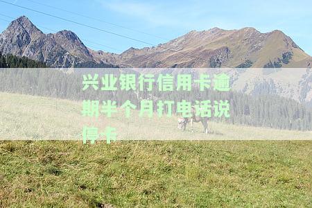 兴业银行逾期半个月,明天全额还款