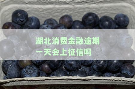 湖北消费金融逾期一天会上征信吗怎么办？
