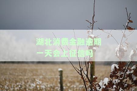 湖北消费金融逾期一天会上征信吗是真的吗，湖北消费金融逾期几天上征信？