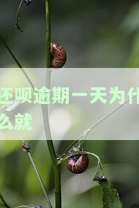 还呗逾期一天为什么就