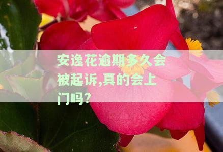 安逸花逾期多久会被起诉,真的会上门吗?