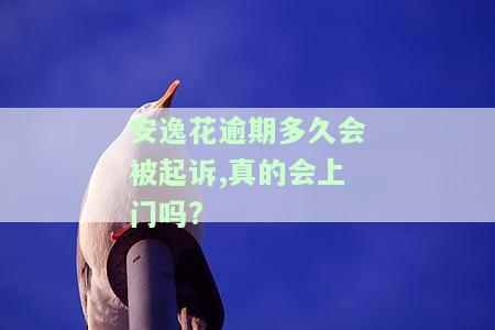 安逸花逾期多久上征信收费怎么样及后果严重性？