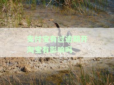 支付宝有过逾期开淘宝有影响吗