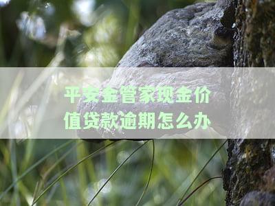 平安金管家现金价值贷款逾期怎么办