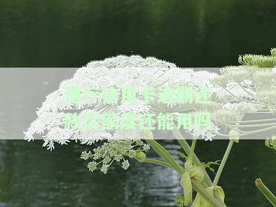 建行信用卡逾期还款后额度还能用吗知乎相关措
