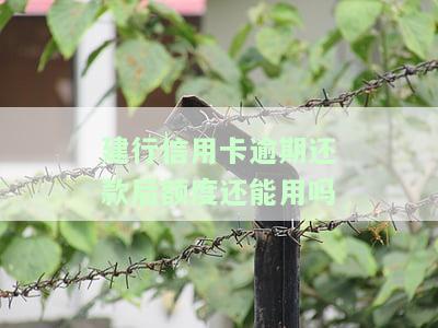 建行信用卡逾期还款后额度还能用吗