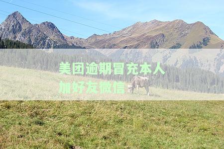 美团逾期冒充本人加好友微信