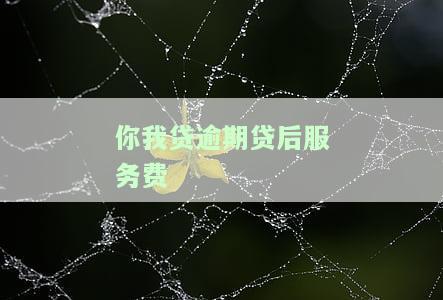 你我贷收贷后服务费合法吗及意义
