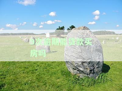 9次逾期能贷款买房吗