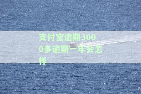 支付宝3000逾期1年情况及亲身经历