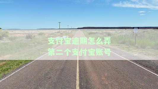 支付宝另一账户逾期还款方式及扣款情况