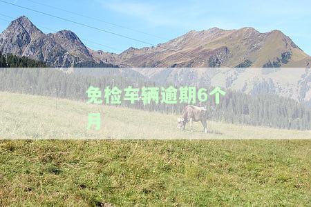 免检车年检逾期六个月的处理方式及后果