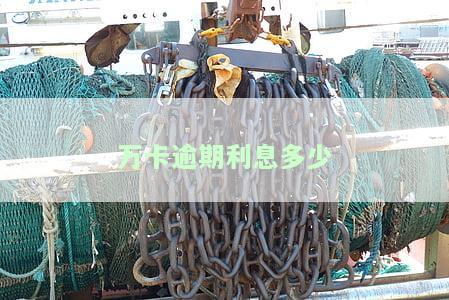 万卡逾期30天说强制执行是怎么回事？
