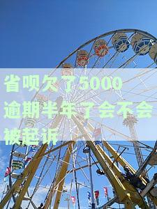 省呗欠了5000逾期半年了会不会被起诉