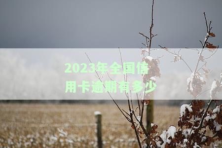 2023年全国信用卡逾期有多少