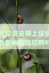 微粒贷逾期上征信会影响铁路招聘吗
