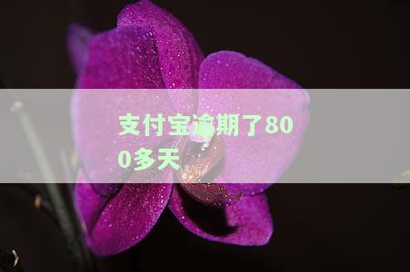 支付宝逾期800多天后,被上门催收了怎么办？