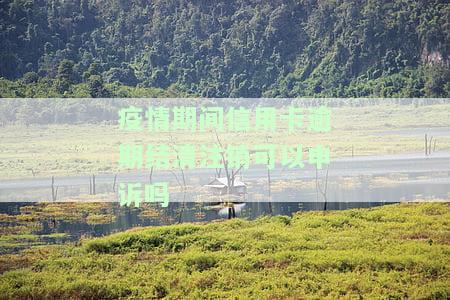 疫情期间信用卡逾期结清注销可以申诉吗