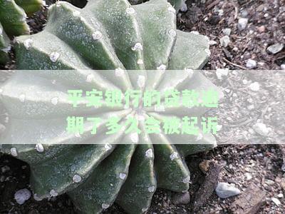 平安银行的贷款逾期了多久会被起诉