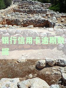 银行信用卡逾期数据