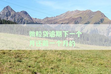 微粒贷有一天逾期还清贷款后还能继续贷款吗安全？