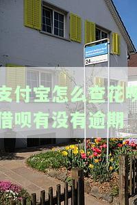 支付宝怎么查花呗借呗有没有逾期