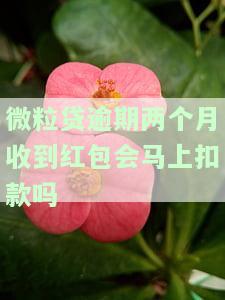 微粒贷逾期两个月会被起诉吗？怎么办？会坐牢吗？