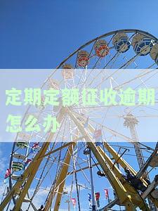 定期定额征收逾期怎么办