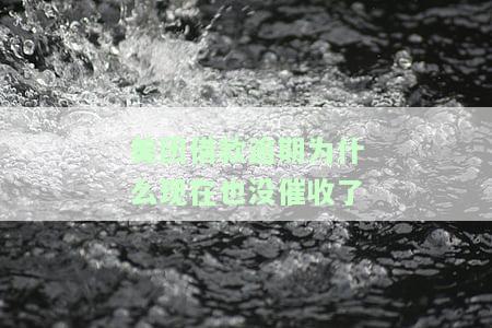 美团借款逾期为什么现在也没催收了