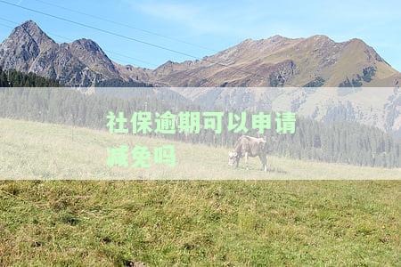 社保逾期可以申请减免吗