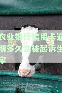 农业银行信用卡逾期多久会被起诉坐牢
