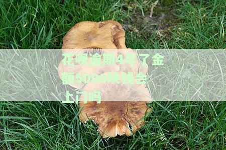 花呗逾期4年了金额5000块钱会上门吗