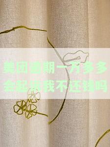 美团逾期1万多元多长时间会被起诉？